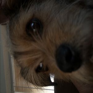 Meet your Posher, Barbara